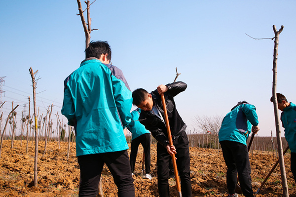“攜手植樹，共創(chuàng)藍(lán)天”丨南京新華師生共筑新華育才林