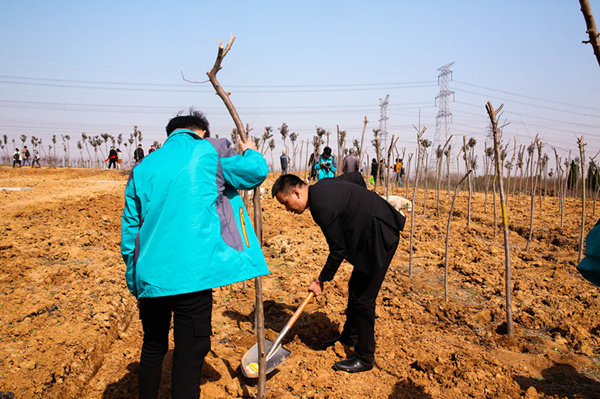 “攜手植樹，共創(chuàng)藍(lán)天”丨南京新華師生共筑新華育才林