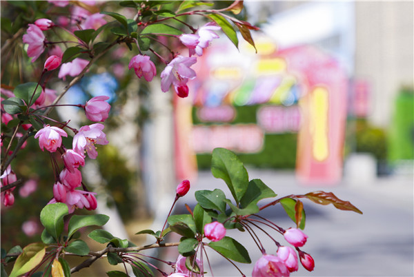 春暖花開，等你歸來——邀你云賞南新春景，以慰思念