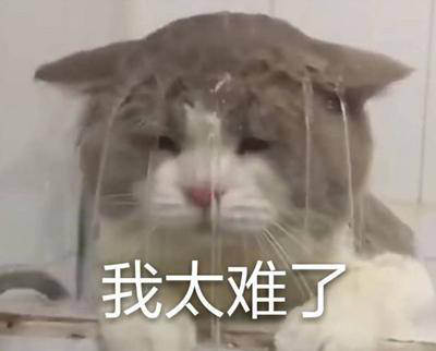 勁爆！新華電腦教育服務(wù)旗艦店正式入駐天貓，課程1折秒殺！