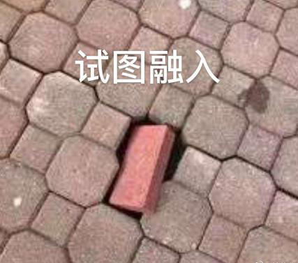 新華互聯(lián)網(wǎng)科技正式入駐Bilibili！會摩擦出什么樣火花呢？